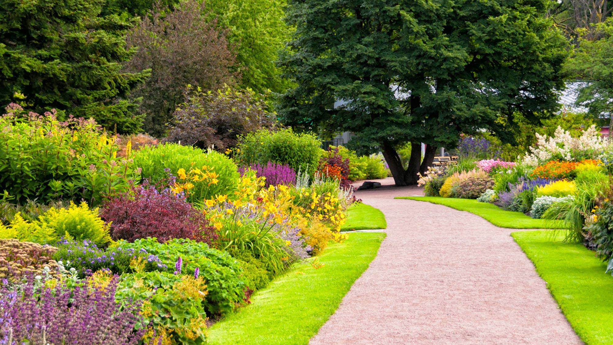 Blomsterrabatter i en park