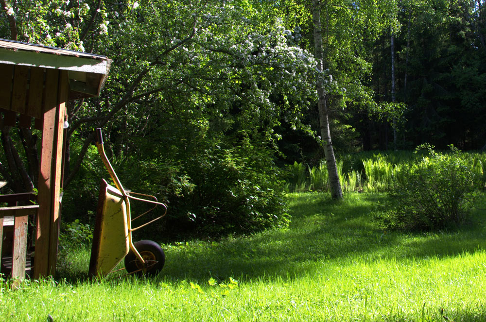 En skottkärra lutad mot ett skjul